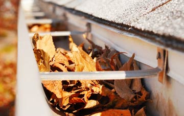 Cold Hiendley gutter cleaning companies