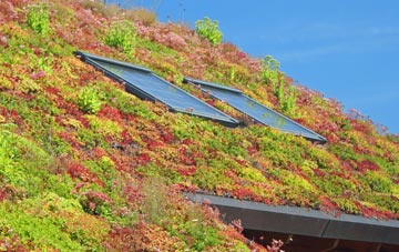 Cold Hiendley living roof systems