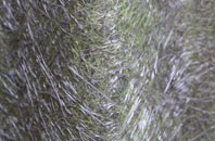 Cold Hiendley fibreglass roof work